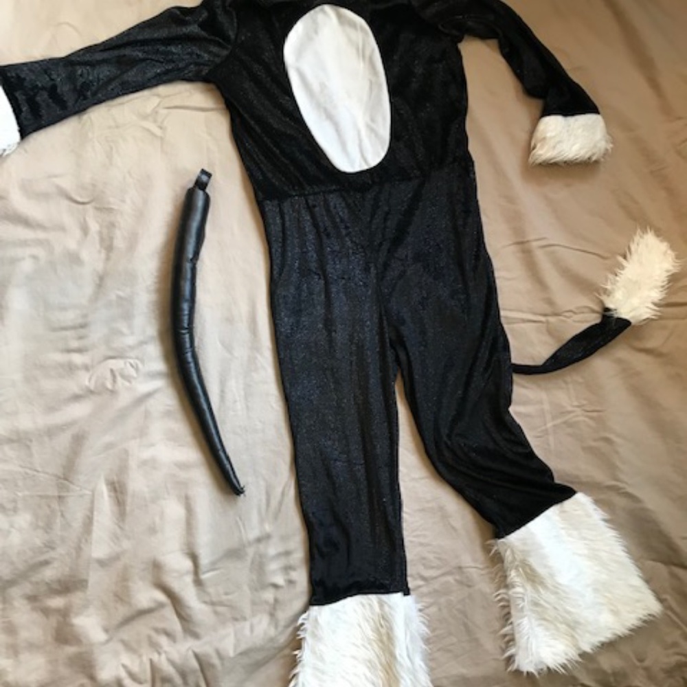Halloween Childs Cat costume